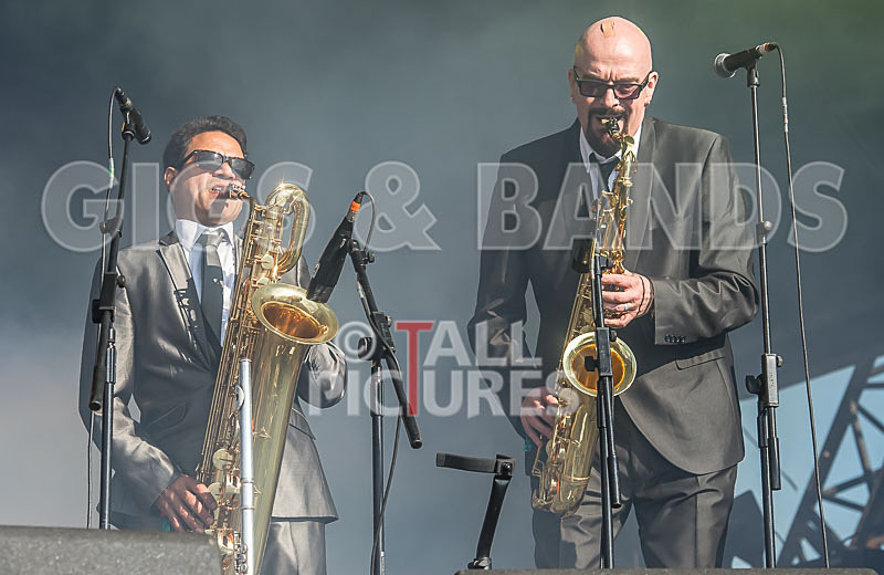 The Selecter-57 - THE SELECTER