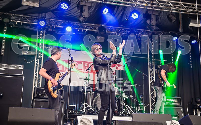 The Cryptics-66 - THE CRYPTICS