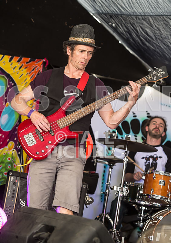 Whose Shoes-2 - WHOSE SHOES