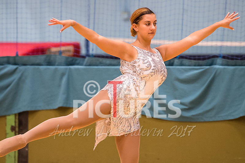 Phoenix Flames-6 - PHEONIX FLAMES