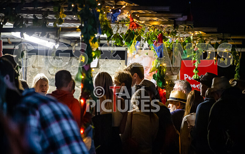 Vale Earth Fair 2020_THE SCENE-100 - VALE EARTH FAIR 2020_THE SCENE