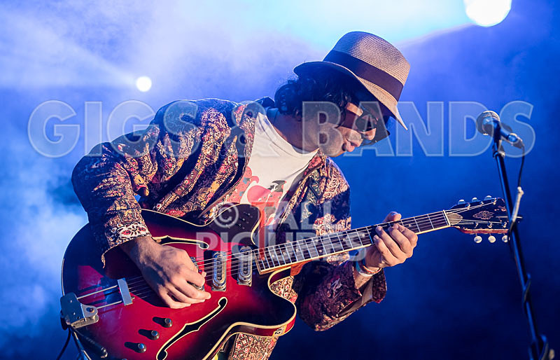 Surfin Birds-26 - SURFIN' BIRDS