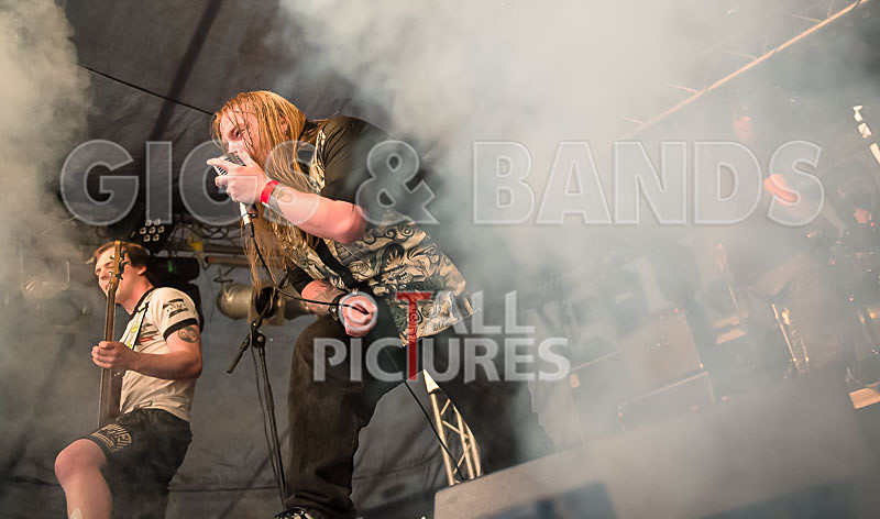 Stone Em All-278 - STONE EM ALL