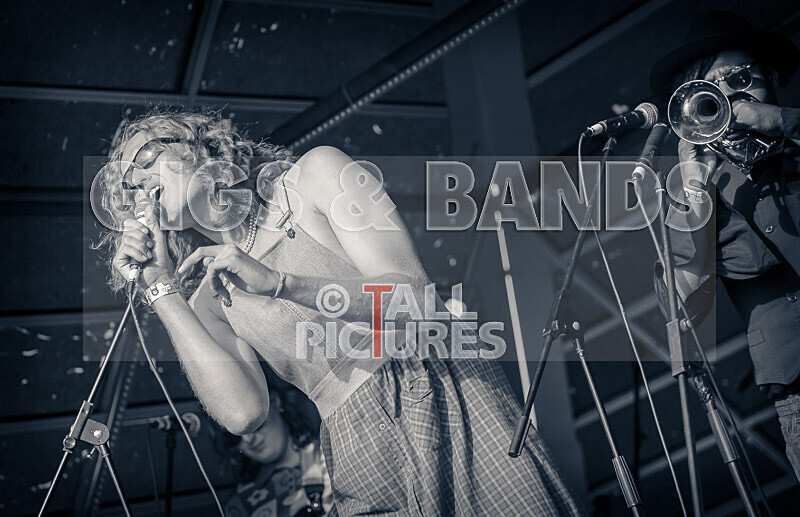 The Pips-137 - THE PIPS