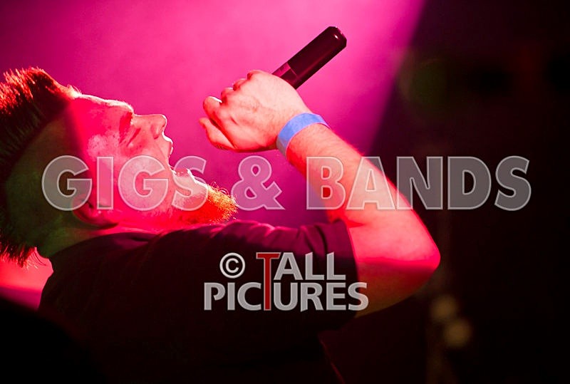 Dead Wing-3 - DEAD WING