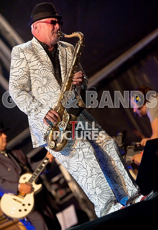 Madness-14 - MADNESS