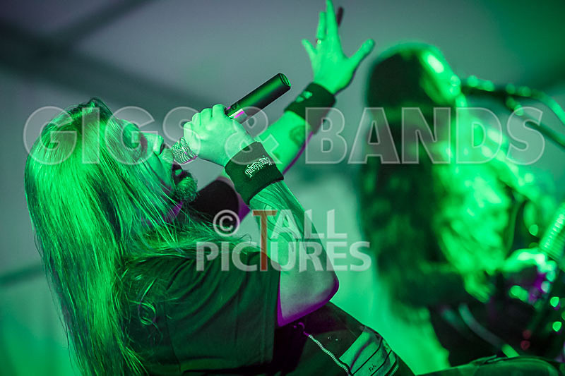 Stone Em All-346 - STONE EM ALL