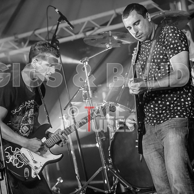 Subversion-44 - SUBVERSION