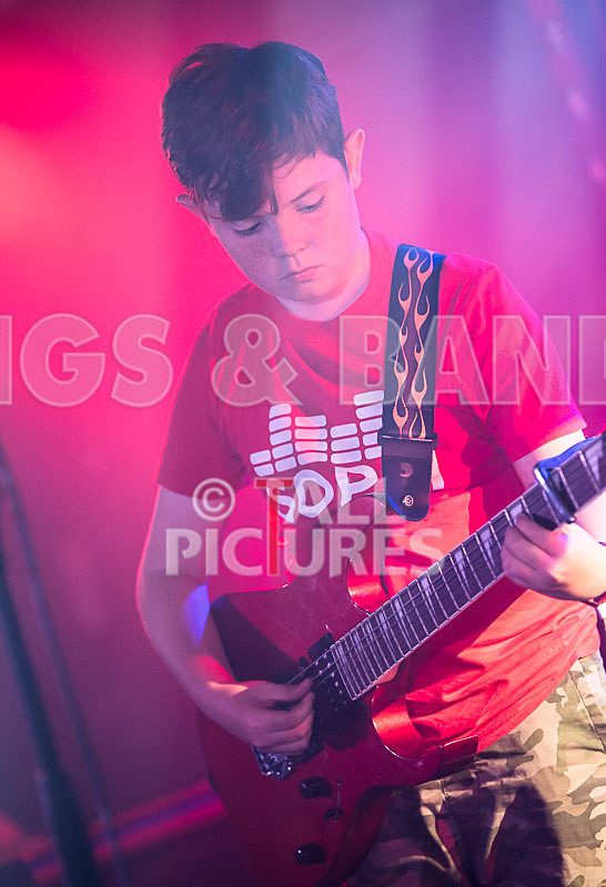 The Lemmings-9 - THE LEMMINGS