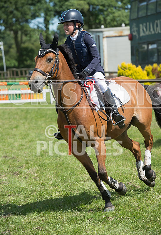 Showjumping_Derby Show_2014-27 - BRITISH SHOWJUMPING GUERNSEY DERBY SHOW 2014