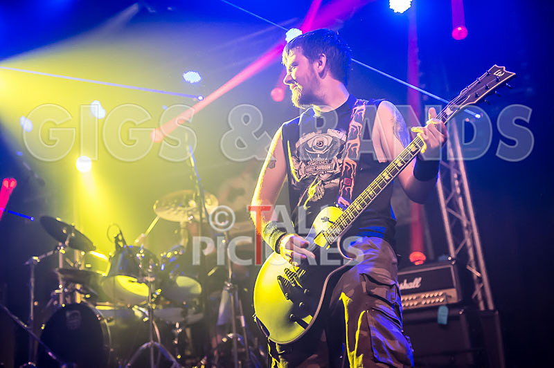 Demise of Sanity-39 - DEMISE OF SANITY