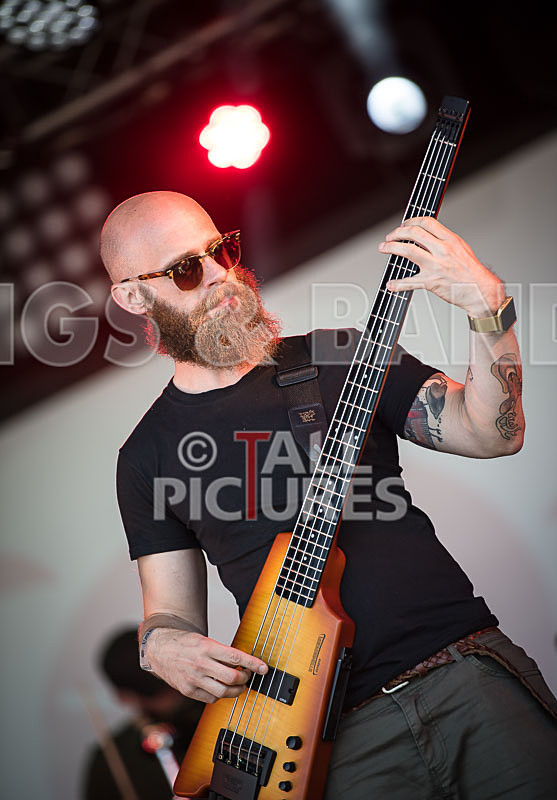 Tree House Fire-27 - TREE HOUSE FIRE