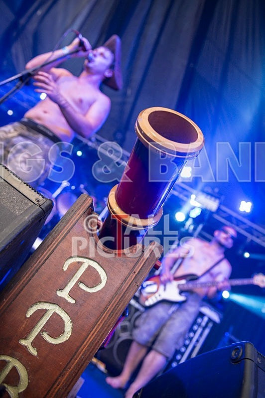 Chaos 2013_Pirate Party Brigade-6 - PIRATE PARTY BRIGADE