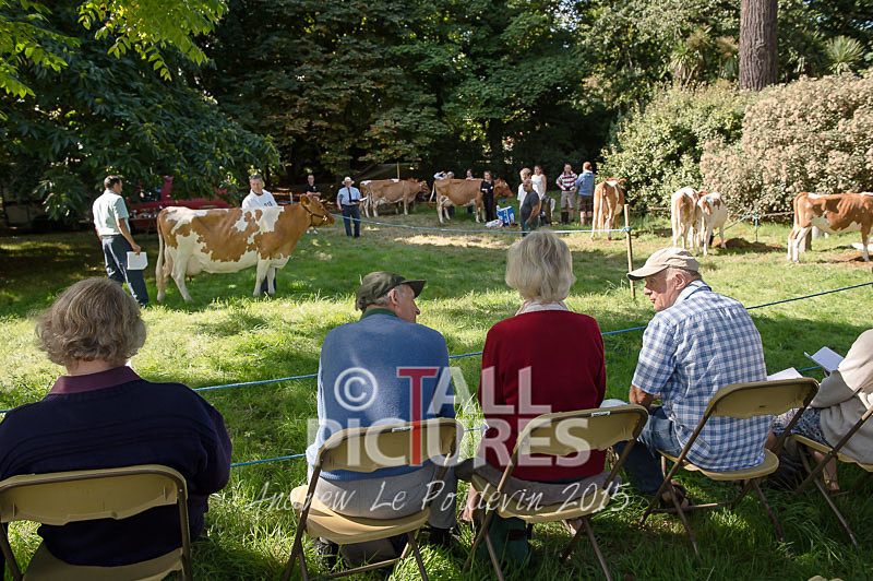 North Show_2014-15 - NORTH SHOW 2014