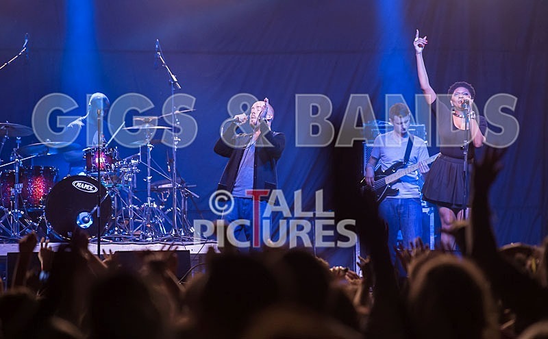 Maverick Sabre-35 - MAVERICK SABRE