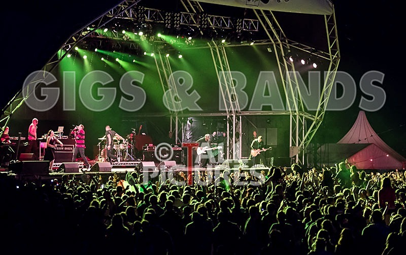 Professor Green-56 - PROFESSOR GREEN