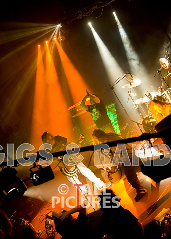 Maiden Guernsey-30 - MAIDEN GUERNSEY at RoA-2