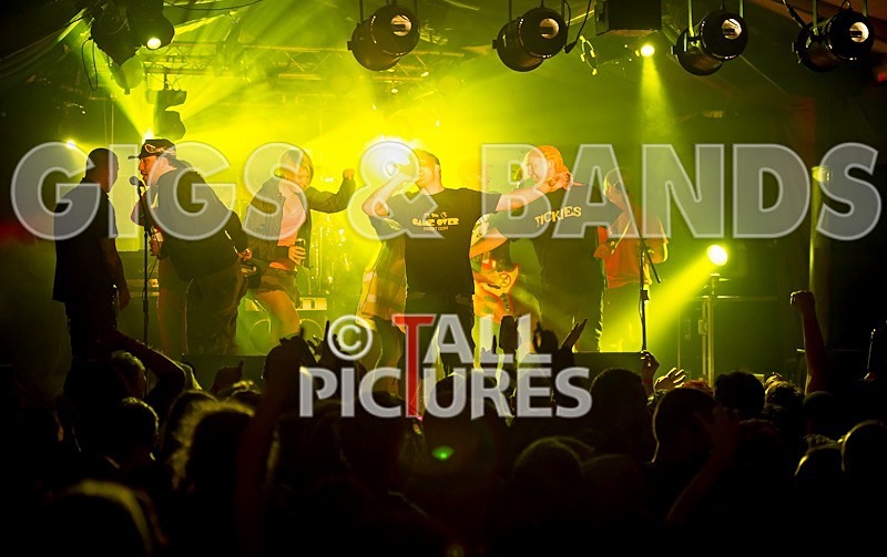 Spunge-51 - [spunge]