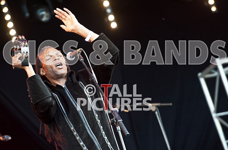 The Beat-50 - THE BEAT