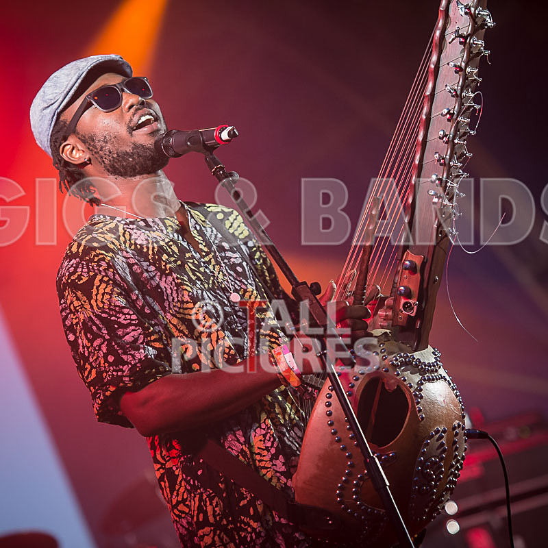 Joe Driscoll  Sekou Kouyate-35 - JOE DRISCOLL & SEKOU KOUYATE