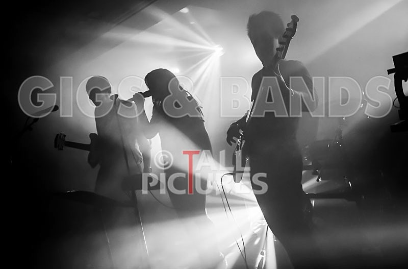 BRIGHT_LIGHTS-150 - BRIGHT_LIGHTS
