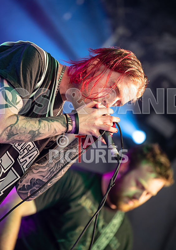 From Darkness-25 - FROM DARKNESS