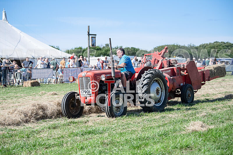 Guernsey Agricultural Show 2021-207 - GUERNSEY AGRICULTURAL SHOW 2021