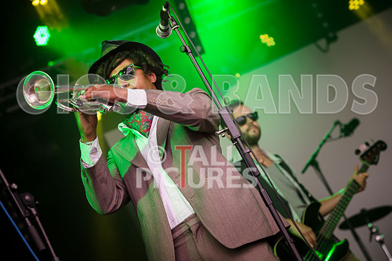 The Recks-327 - THE RECKS