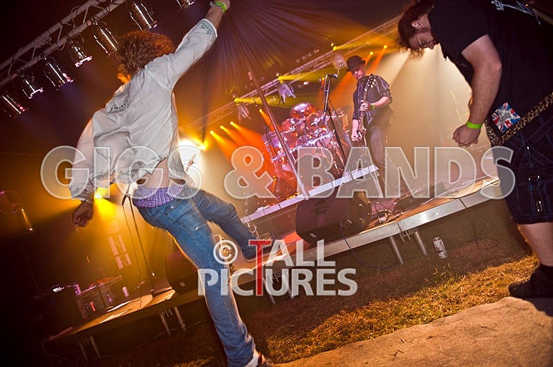 Peppered Ant Legs-72 - PEPPERED ANT LEGS