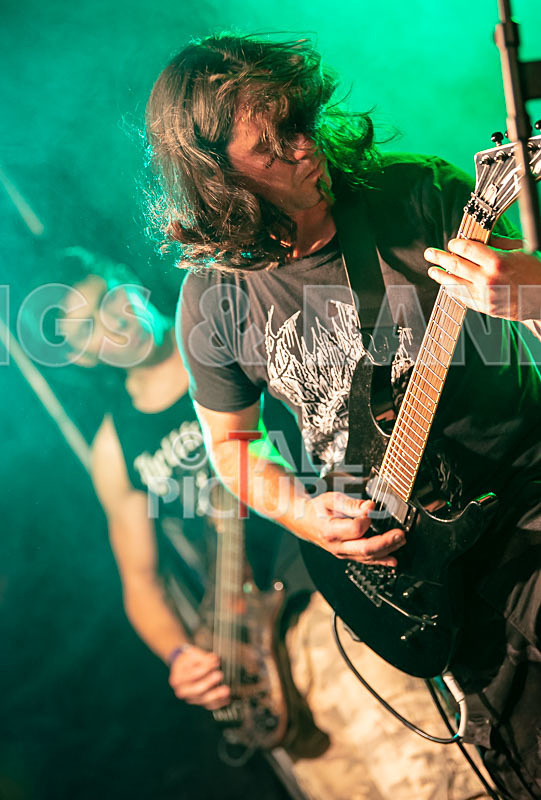 Masticated-14 - MASTICATED