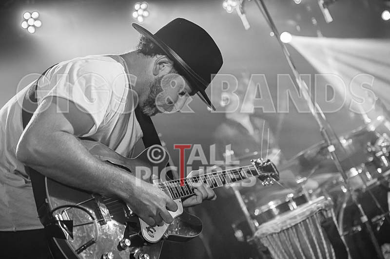 Tropical Zombie-31 - TROPICAL ZOMBIE