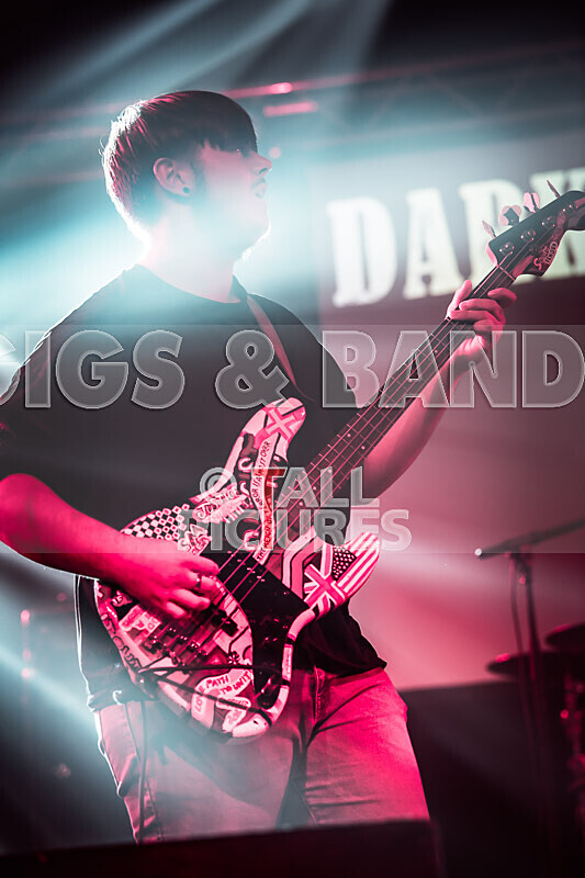 Darker Shade-43 - DARKER SHADE