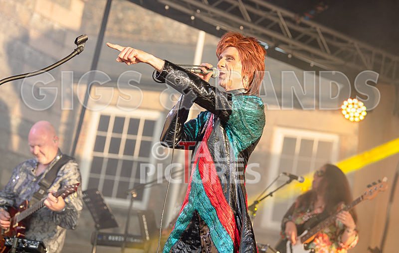 The Bowie Experience-23 - THE BOWIE EXPERIENCE