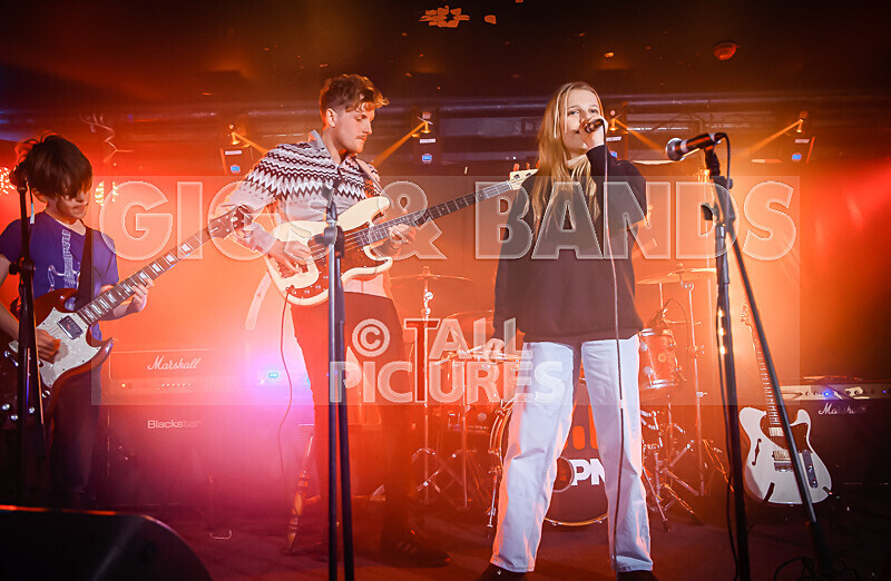 Hyperbolic Magnetism-34 - HYPERBOLIC MAGNETISM