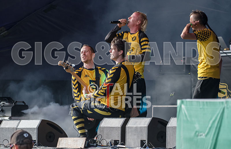 Dubioza Kolektiv-54 - DUBIOZA KOLEKTIV