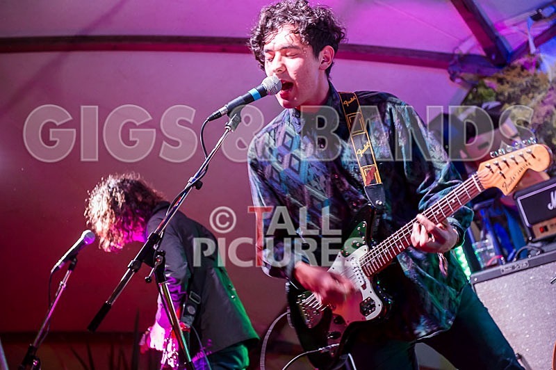 Last Dinosaurs-19 - LAST DINOSAURS