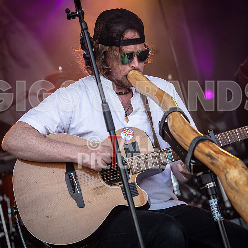 Buffalo Huddleston-706 - BUFFALO HUDDLESTON