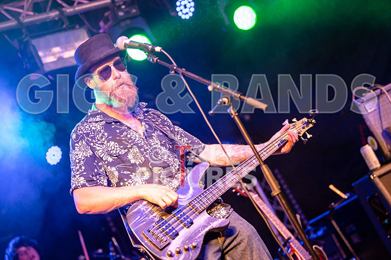 Surfin Birds-43 - SURFIN' BIRDS