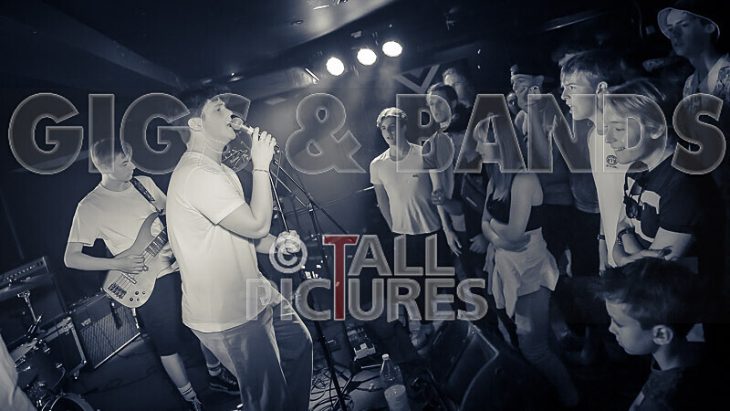 Black Dog-14 - BLACK DOG