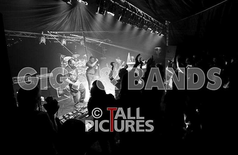 Elysium-117 - ELYSIUM