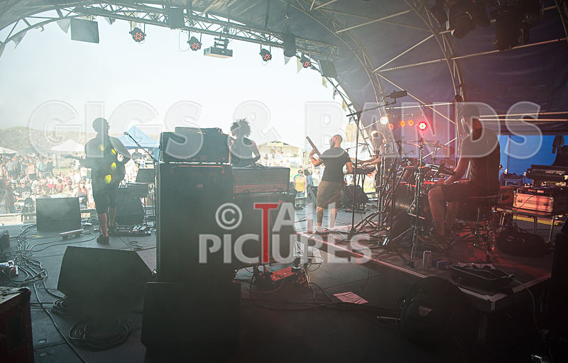 Tree House Fire-40 - TREE HOUSE FIRE