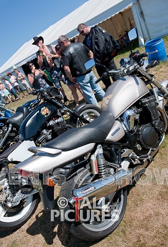 Greenman Scene-8 - GREENMAN ATMOSPHERE in 2010