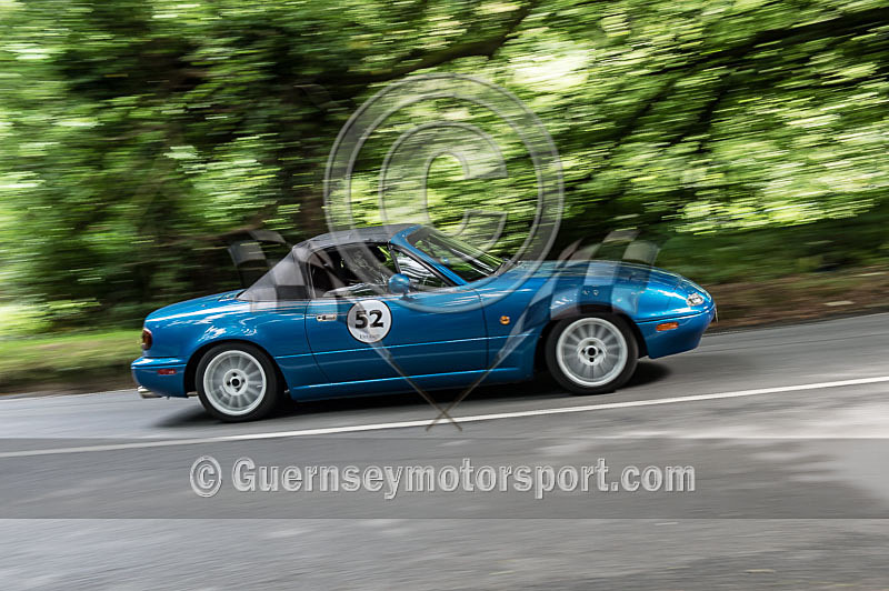 Heritage Charity Hillclimb_2014-175 - HERITAGE CHARITY HILL CLIMB 2014