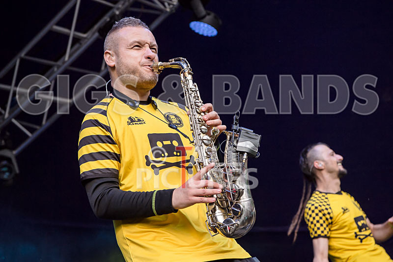 Dubioza Kolektiv-15 - DUBIOZA KOLEKTIV