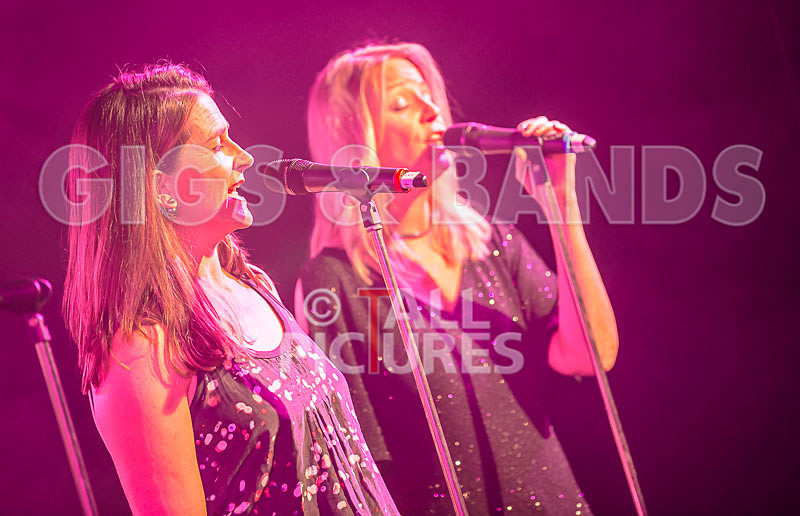 King Rat_30th Birthday Gig-88 - KING RAT AND THE SOUL CATS 30th BIRTHDAY