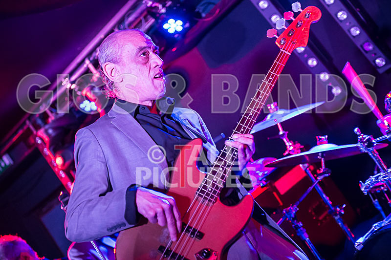 The Blockheads-12 - THE BLOCKHEADS