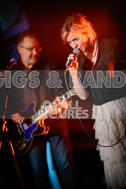 Sleeper-46 - SLEEPER