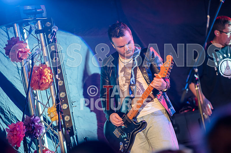 Near Bliss-48 - NEAR BLISS