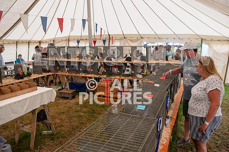 Guernsey Agricultural Show 2021-149 - GUERNSEY AGRICULTURAL SHOW 2021