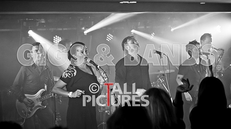 King Rat and the Soul Cats-45 - KING RAT & THE SOUL CATS